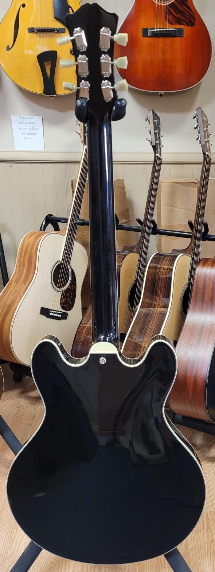 Eastman T486-BK - Woodstock School of Music