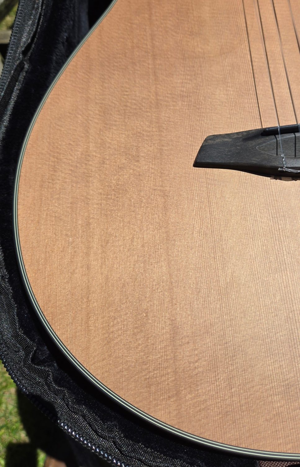 Furch GNc2 -CW EAS Left Handed B STOCK - Image 8